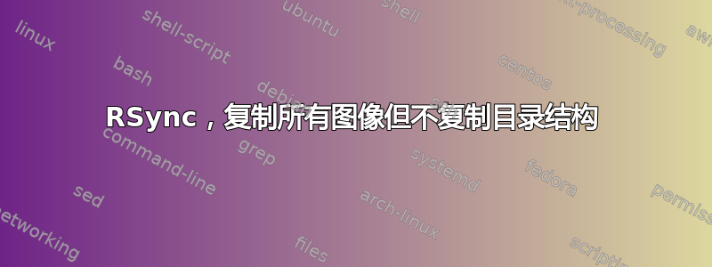 RSync，复制所有图像但不复制目录结构