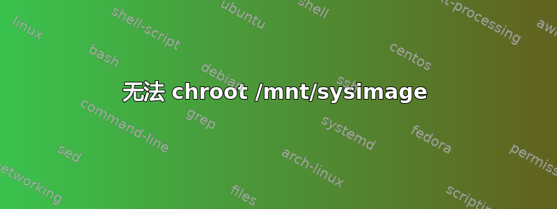 无法 chroot /mnt/sysimage