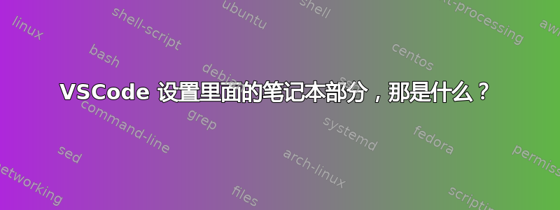 VSCode 设置里面的笔记本部分，那是什么？