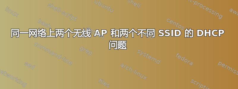 同一网络上两个无线 AP 和两个不同 SSID 的 DHCP 问题