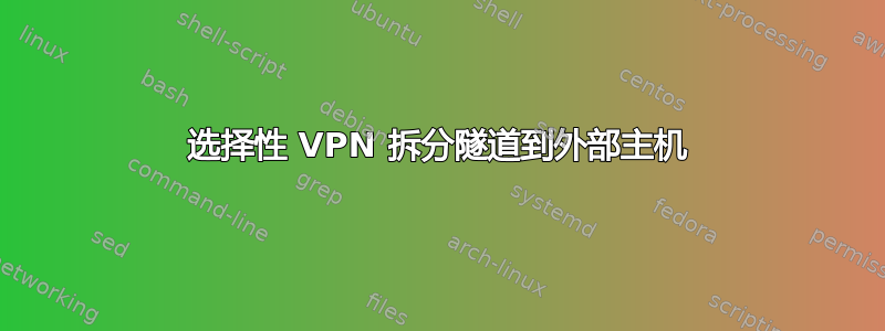 选择性 VPN 拆分隧道到外部主机