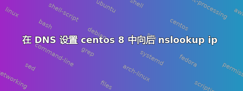 在 DNS 设置 centos 8 中向后 nslookup ip