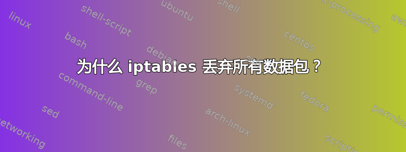 为什么 iptables 丢弃所有数据包？