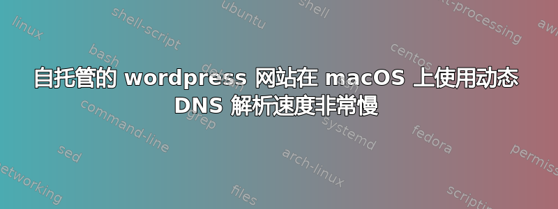 自托管的 wordpress 网站在 macOS 上使用动态 DNS 解析速度非常慢