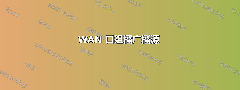 WAN 口组播广播源