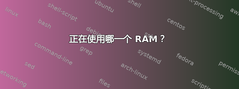 正在使用哪一个 RAM？