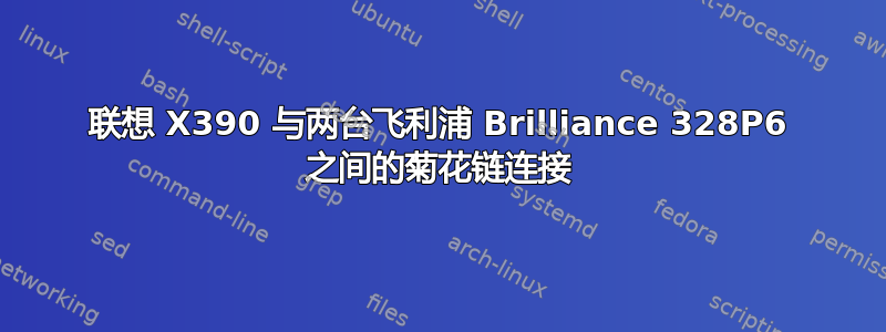 联想 X390 与两台飞利浦 Brilliance 328P6 之间的菊花链连接