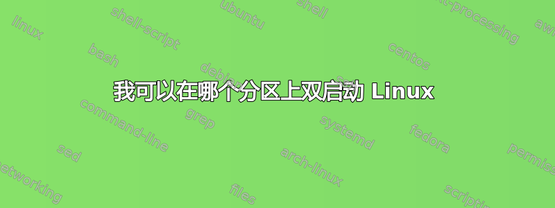 我可以在哪个分区上双启动 Linux