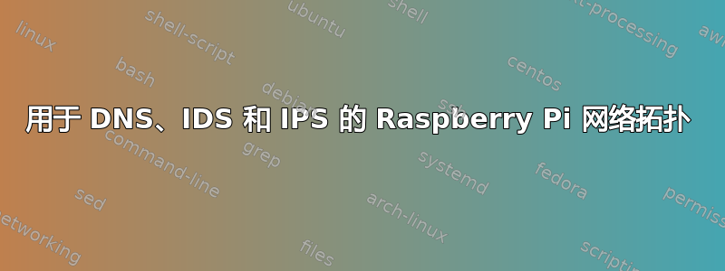 用于 DNS、IDS 和 IPS 的 Raspberry Pi 网络拓扑