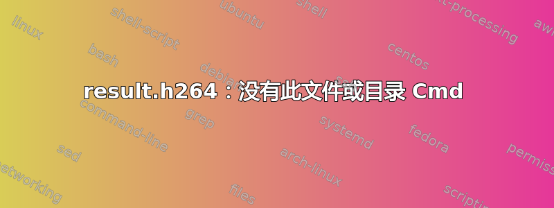 result.h264：没有此文件或目录 Cmd