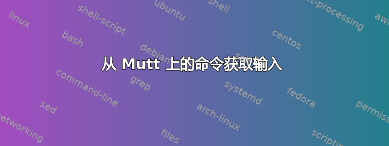 从 Mutt 上的命令获取输入