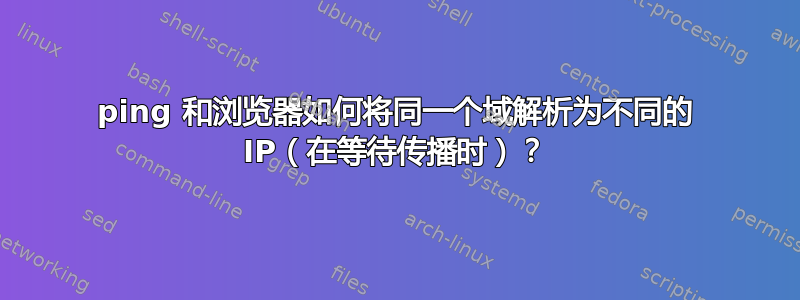 ping 和浏览器如何将同一个域解析为不同的 IP（在等待传播时）？