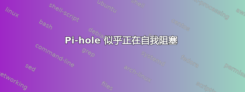 Pi-hole 似乎正在自我阻塞