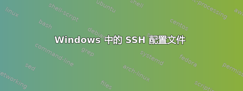 Windows 中的 SSH 配置文件