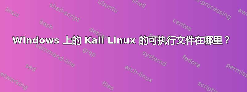 Windows 上的 Kali Linux 的可执行文件在哪里？