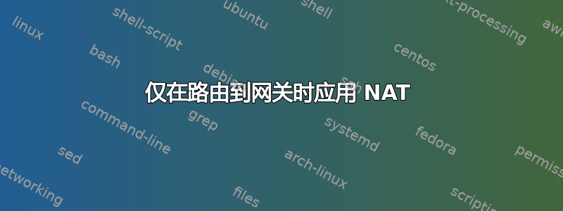 仅在路由到网关时应用 NAT