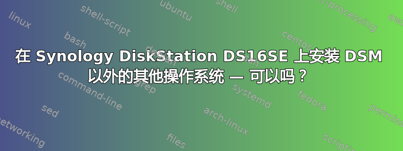 在 Synology DiskStation DS16SE 上安装 DSM 以外的其他操作系统 — 可以吗？