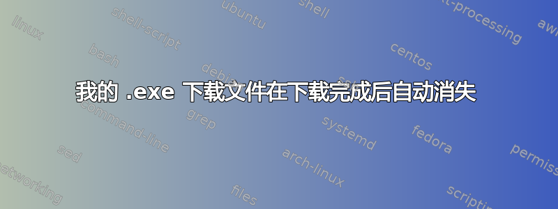 我的 .exe 下载文件在下载完成后自动消失