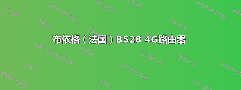 布依格（法国）B528 4G路由器