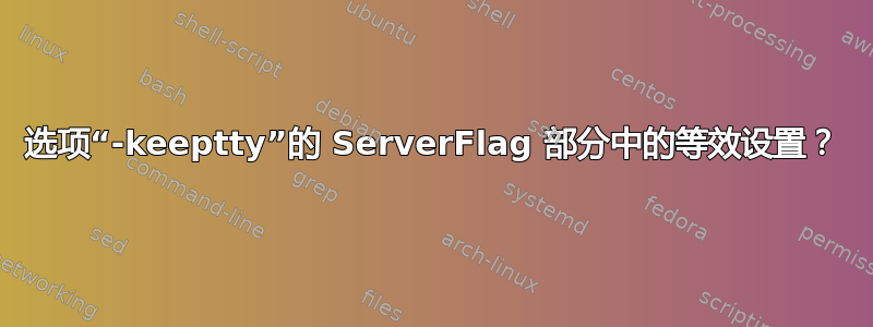 选项“-keeptty”的 ServerFlag 部分中的等效设置？