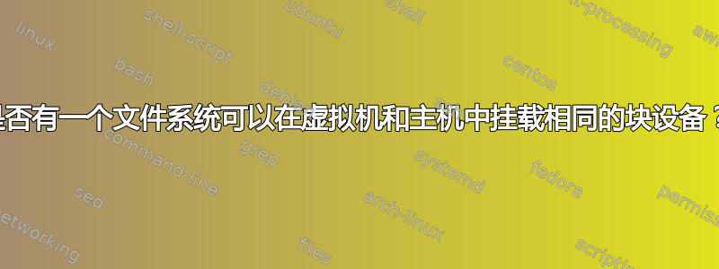 是否有一个文件系统可以在虚拟机和主机中挂载相同的块设备？