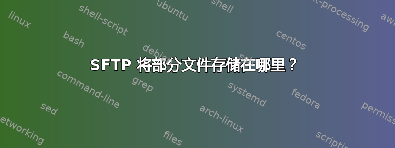 SFTP 将部分文件存储在哪里？