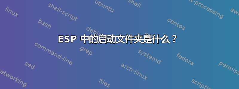 ESP 中的启动文件夹是什么？