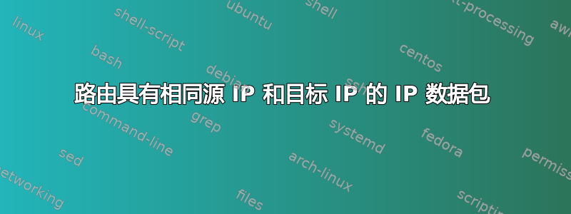 路由具有相同源 IP 和目标 IP 的 IP 数据包