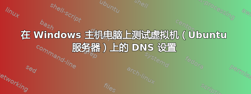 在 Windows 主机电脑上测试虚拟机（Ubuntu 服务器）上的 DNS 设置