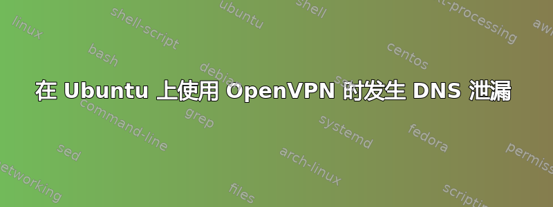 在 Ubuntu 上使用 OpenVPN 时发生 DNS 泄漏