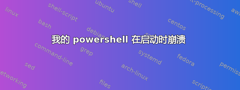 我的 powershell 在启动时崩溃