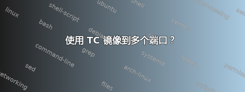 使用 TC 镜像到多个端口？