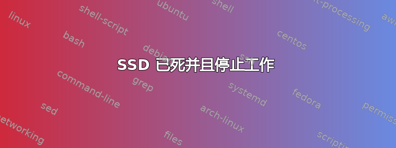 SSD 已死并且停止工作