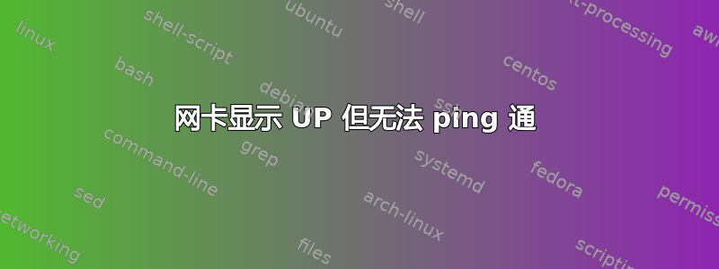 网卡显示 UP 但无法 ping 通