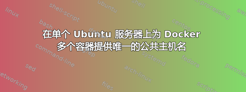 在单个 Ubuntu 服务器上为 Docker 多个容器提供唯一的公共主机名