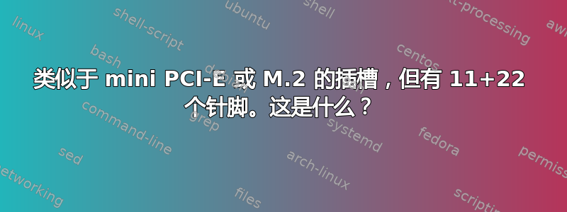 类似于 mini PCI-E 或 M.2 的插槽，但有 11+22 个针脚。这是什么？