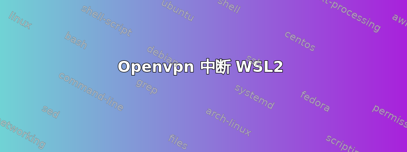 Openvpn 中断 WSL2