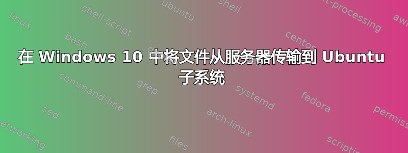 在 Windows 10 中将文件从服务器传输到 Ubuntu 子系统