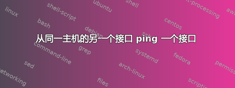 从同一主机的另一个接口 ping 一个接口