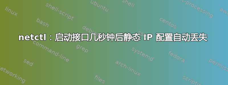 netctl：启动接口几秒钟后静态 IP 配置自动丢失