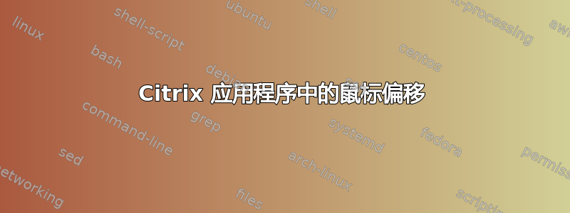 Citrix 应用程序中的鼠标偏移