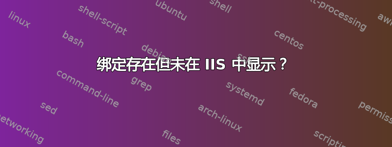 绑定存在但未在 IIS 中显示？