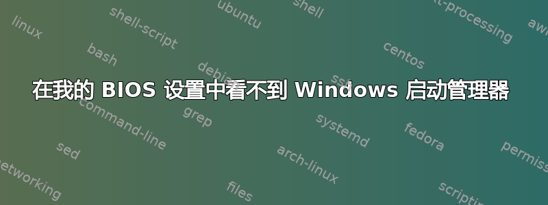 在我的 BIOS 设置中看不到 Windows 启动管理器