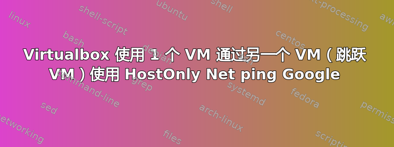 Virtualbox 使用 1 个 VM 通过另一个 VM（跳跃 VM）使用 HostOnly Net ping Google