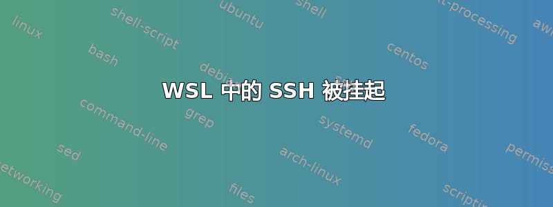 WSL 中的 SSH 被挂起