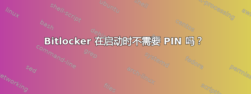 Bitlocker 在启动时不需要 PIN 吗？