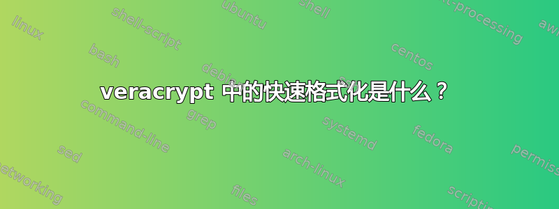 veracrypt 中的快速格式化是什么？