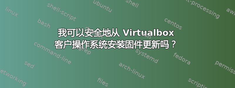 我可以安全地从 Virtualbox 客户操作系统安装固件更新吗？