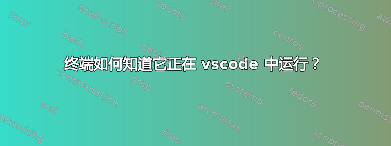 终端如何知道它正在 vscode 中运行？