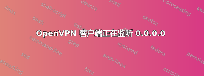 OpenVPN 客户端正在监听 0.0.0.0